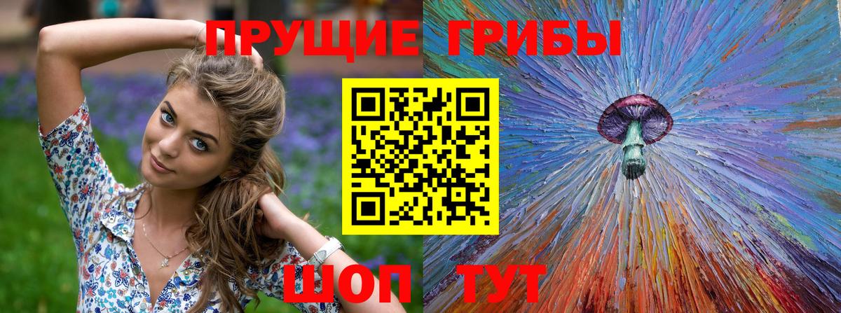 Галлюциногенные грибы Psilocybine cubensis Кольчугино