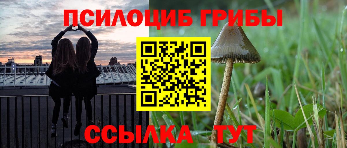 Псилоцибиновые грибы прущие грибы  Вход с VPN  купить   Псилоцибиновые грибы Psilocybe  Кольчугино 